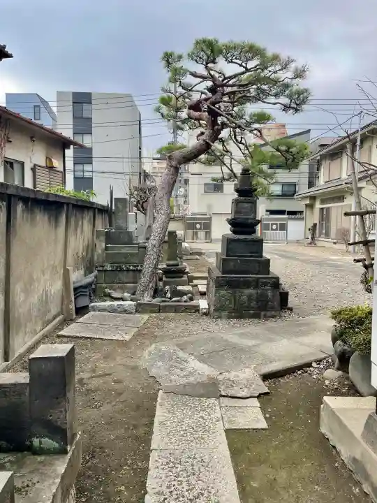 瑞松院の{uncategorized: "未分類", other: "その他", undefined: "問題あり", building: "その他建物", grave: "お墓", sacred_gate: "鳥居", guardian: "狛犬", statue: "像", buddha: "仏像", history: "歴史", nature: "自然", garden: "庭園", animal: "動物", pagoda: "塔", temizu: "手水舎", mountain_gate: "山門・神門", sanctuary: "本殿・本堂", subordinate: "末社・摂社", art: "芸術", scenery: "景色", jizo: "地蔵", ema: "絵馬", goshuin: "御朱印", omikuji: "おみくじ", items: "授与品その他", amulet: "お守り", goshuincho: "御朱印帳", eats: "食事", festival: "お祭り", votive_dance: "神楽", shichigosan: "七五三参", wedding: "結婚式", experience: "体験その他", initially: "初詣", around: "周辺", anti_infection: "感染症対策"}
