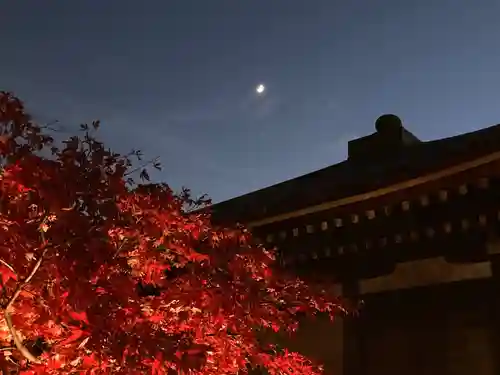 東漸寺(千葉県)