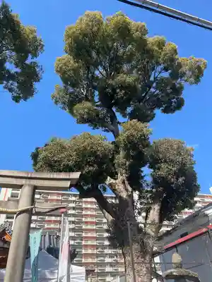 八幡神社(大阪府)