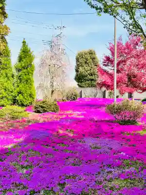 吉祥寺(群馬県)