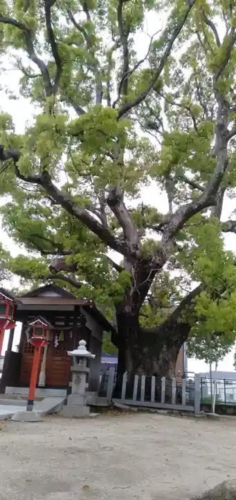 伯光神社の自然