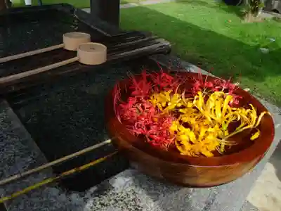 横浜 西方寺の手水舎