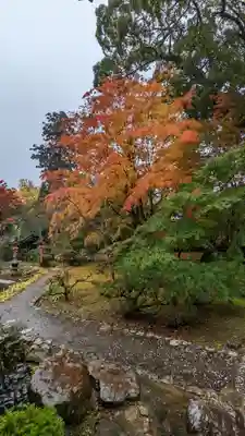 十輪寺(京都府)