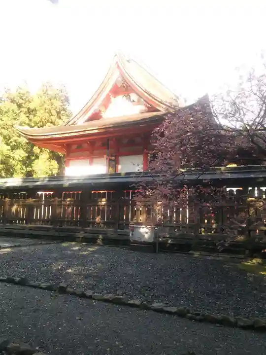 土佐神社(高知県)