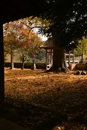 禅蔵寺(愛媛県)