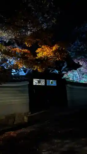 妙顯寺（妙顕寺）(京都府)