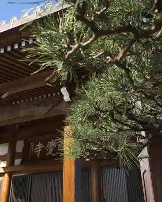 西慶寺(新田触不動尊)(群馬県)