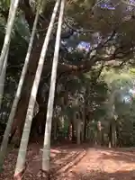 鷲神社の周辺