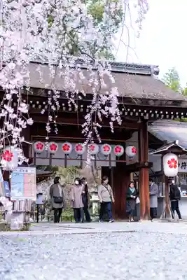 平野神社(京都府)