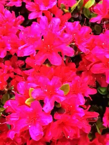 神足寺(東京都)