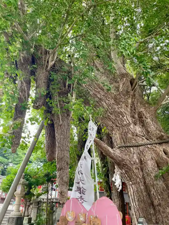 海南神社(神奈川県)