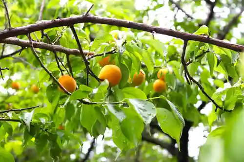 三津厳島神社(愛媛県)