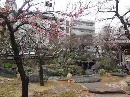 湯島天満宮の自然