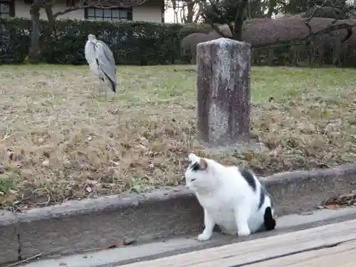 白雲神社(京都府)