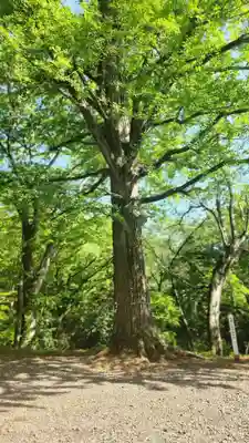 大蔵寺(福島県)