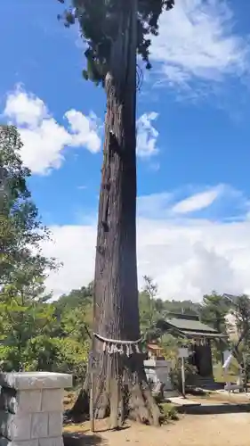 鶴峯八幡宮(千葉県)