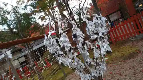 大原野神社のおみくじ