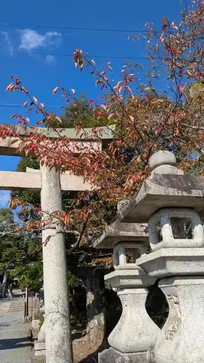 三宅八幡宮(京都府)