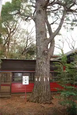 前原御嶽神社のその他建物