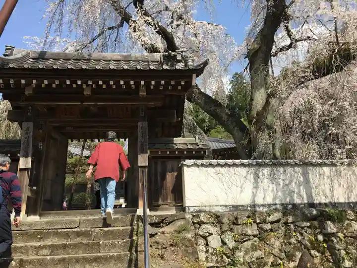 清雲寺の山門・神門