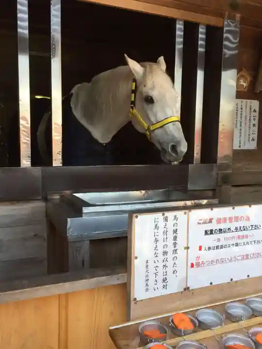 多度大社の動物