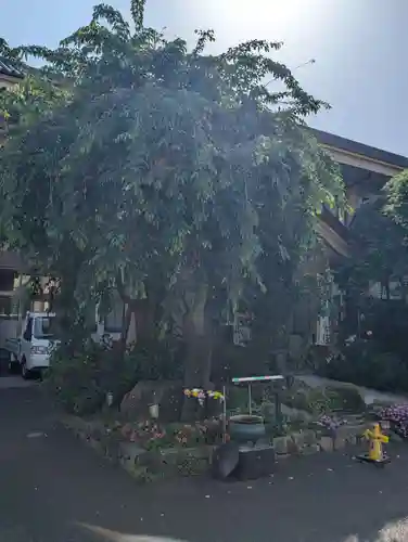 眞性寺(東京都)