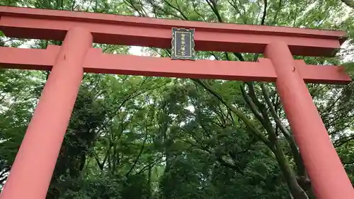 世田谷八幡宮の鳥居