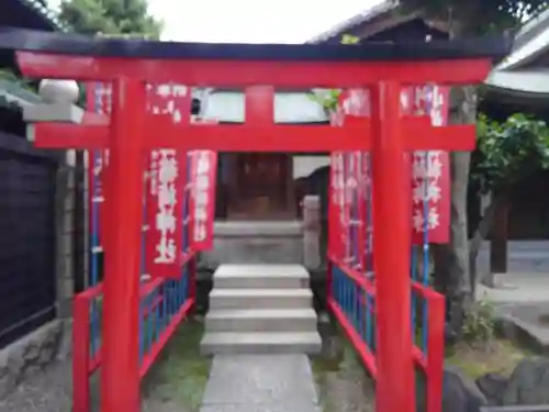 牛嶋神社の鳥居