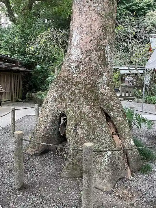 荏柄天神社(神奈川県)