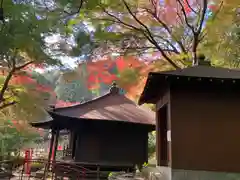 普門寺(切り絵御朱印発祥の寺)(愛知県)