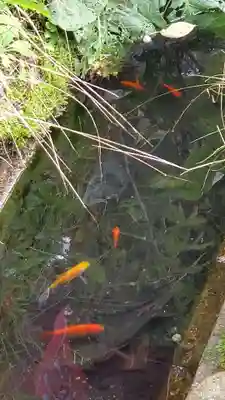 神炊館神社 ⁂奥州須賀川総鎮守⁂(福島県)