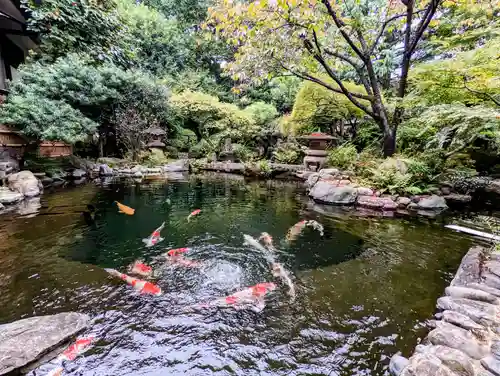 感通寺の庭園