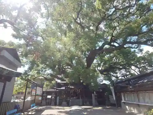 三島神社のその他建物