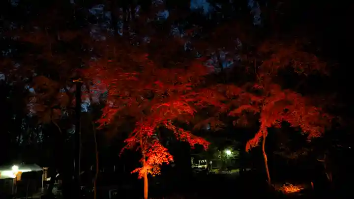 賀茂御祖神社(下鴨神社)(京都府)