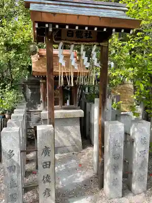 堀越神社の末社・摂社