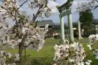 琵琶神社の鳥居