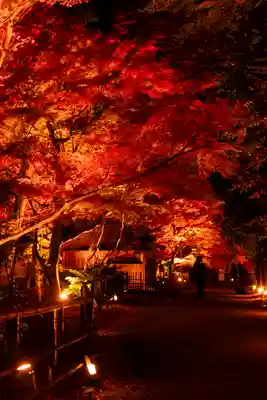 北野天満宮(京都府)