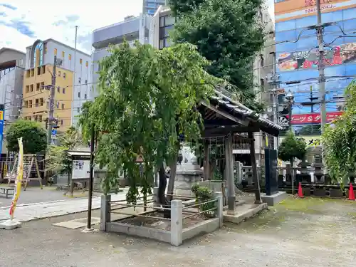 柏神社の庭園