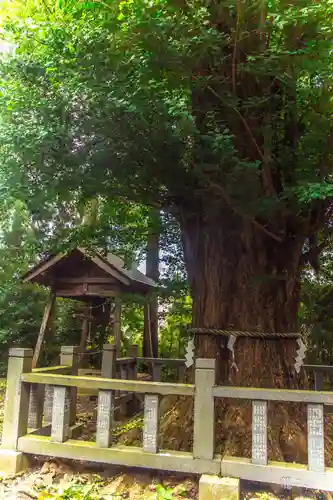 伊達神社(宮城県)