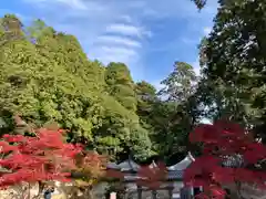 圓教寺の自然