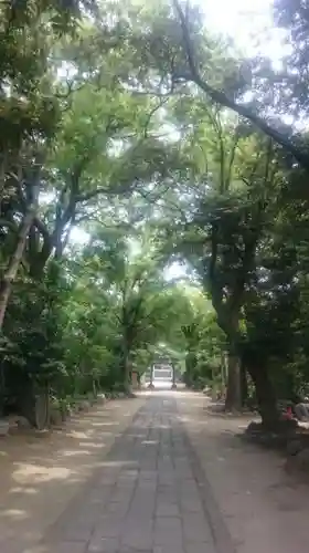 大鷲神社のその他建物