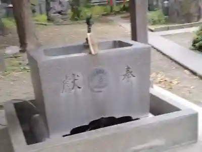若宮八幡宮 の手水舎