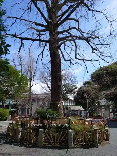 七社神社の自然