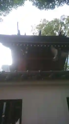 サムハラ神社(大阪府)