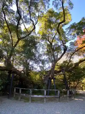 伊勢神宮外宮（豊受大神宮）(三重県)