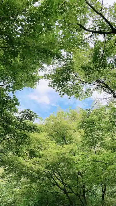 武雄神社(佐賀県)