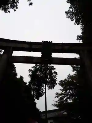 白鷺神社の鳥居