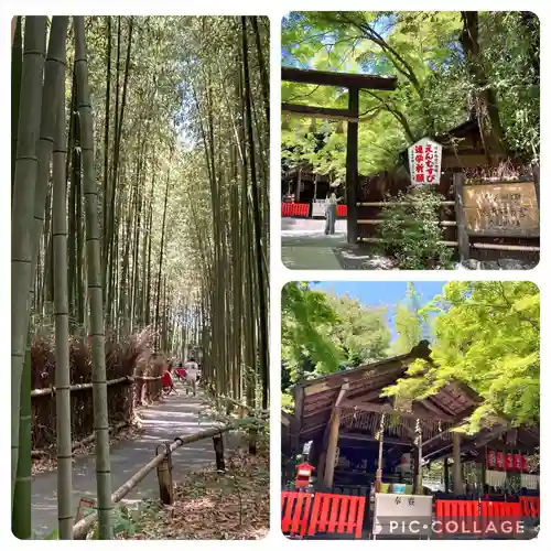 野宮神社(京都府)