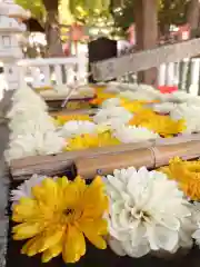 草加神社(埼玉県)