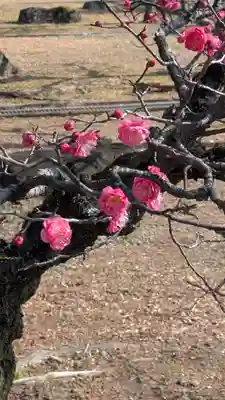  智積院(京都府)